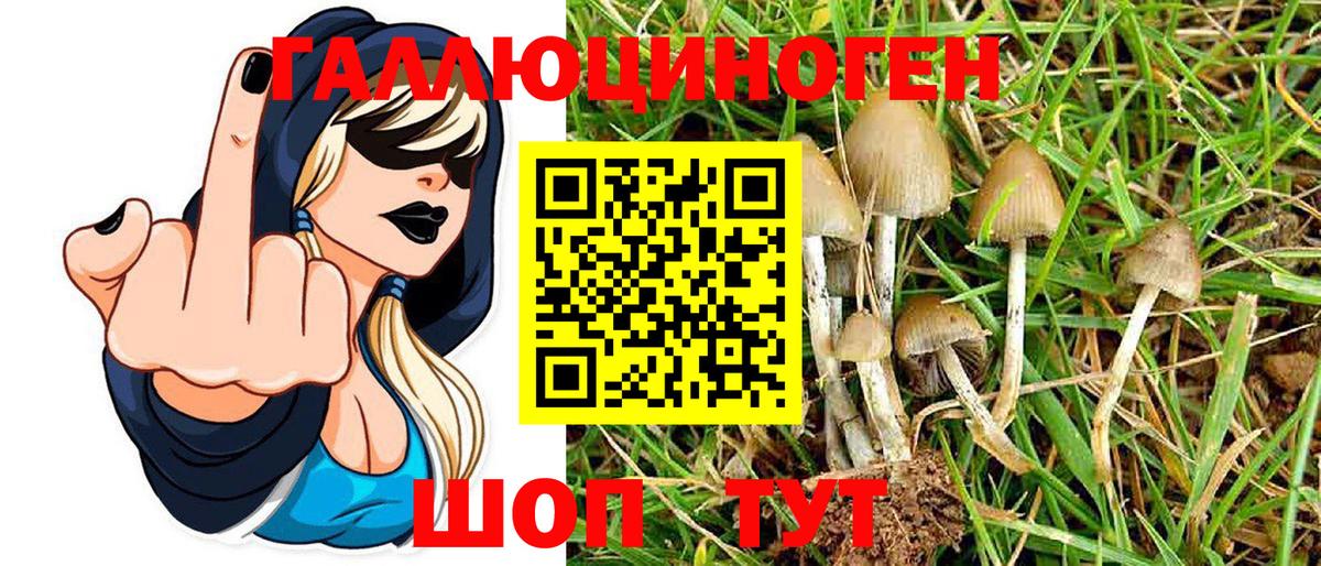 Галлюциногенные грибы MAGIC MUSHROOMS Новороссийск