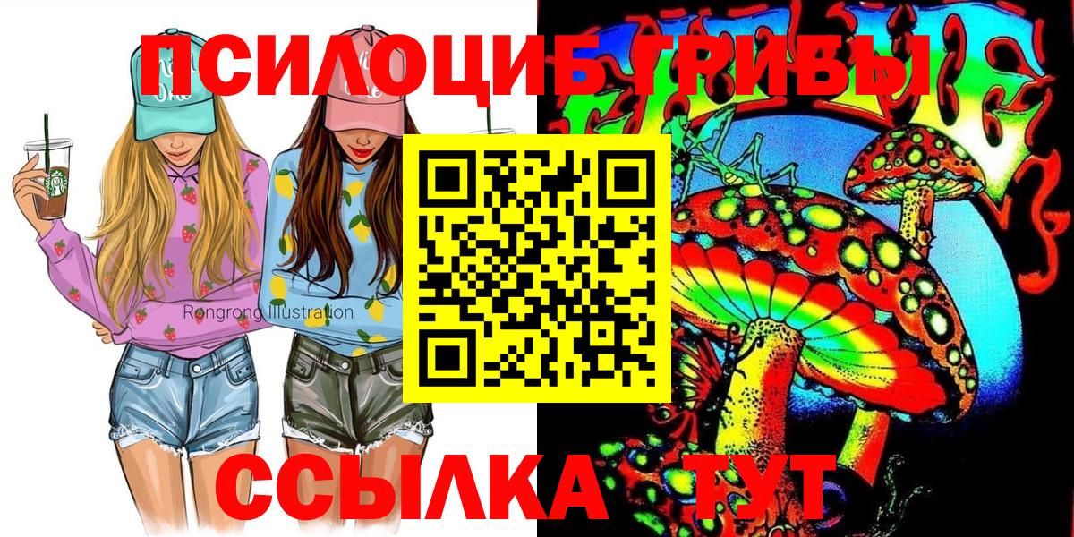 Новороссийск  Псилоцибиновые грибы GOLDEN TEACHER  Псилоцибиновые грибы Psilocybe  Вход с VPN 